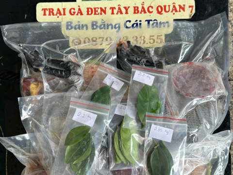 Trại gà đen Tây Bắc Sơn Vũ