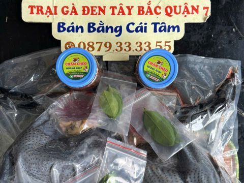 Trại gà đen Tây Bắc Sơn Vũ