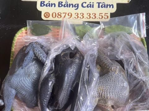 ĐƠN NGÀY 28/8