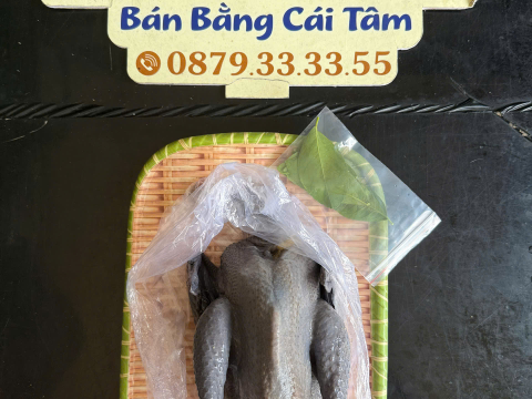 Trại gà đen Tây Bắc Sơn Vũ