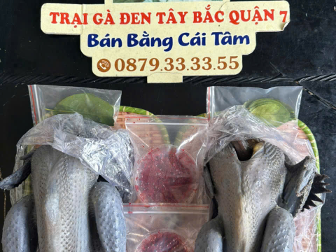 ĐƠN NGÀY 31/8