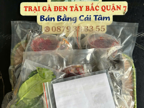 Trại gà đen Tây Bắc Sơn Vũ