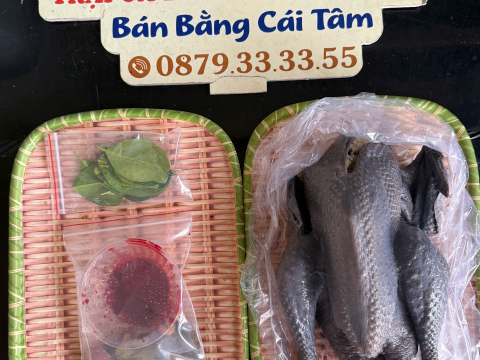 Trại gà đen Tây Bắc Sơn Vũ