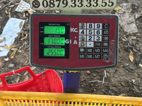 Trại gà đen Tây Bắc Sơn Vũ
