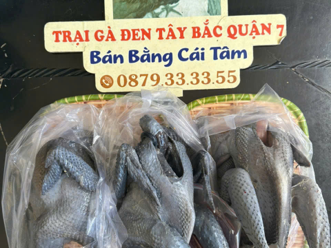 ĐƠN NGÀY 5/9