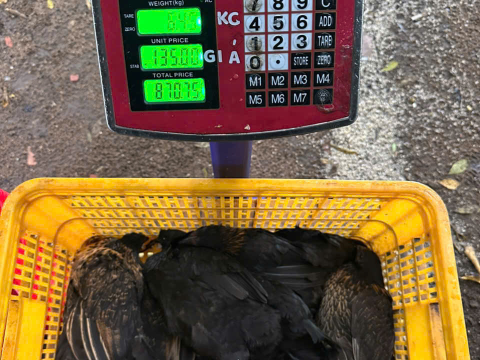 ĐƠN NGÀY 7/9