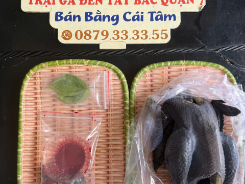 Trại gà đen Tây Bắc Sơn Vũ