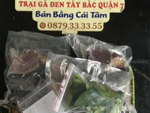 Trại gà đen Tây Bắc Sơn Vũ