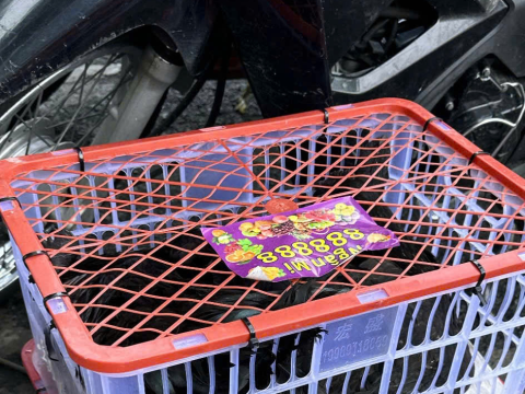 ĐƠN NGÀY 9/9