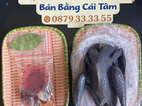 Trại gà đen Tây Bắc Sơn Vũ