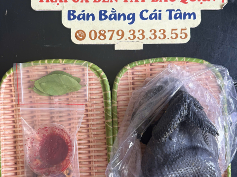 Trại gà đen Tây Bắc Sơn Vũ