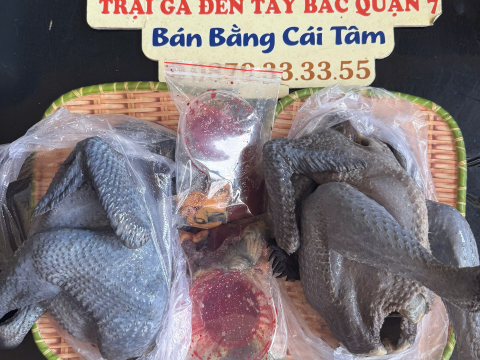Trại gà đen Tây Bắc Sơn Vũ