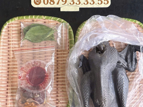 Trại gà đen Tây Bắc Sơn Vũ