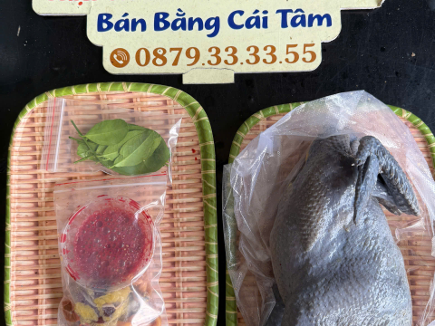 Trại gà đen Tây Bắc Sơn Vũ