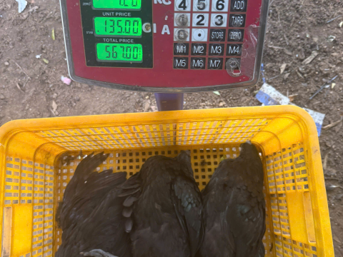 ĐƠN NGÀY 13/9