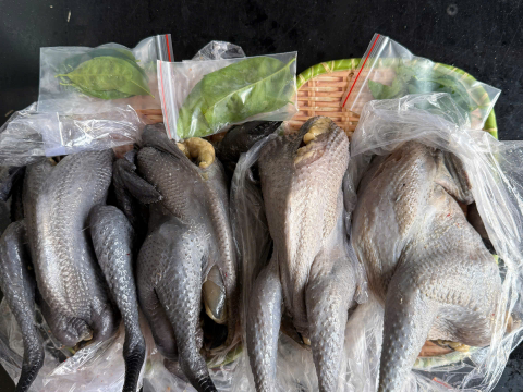 Trại gà đen Tây Bắc Sơn Vũ
