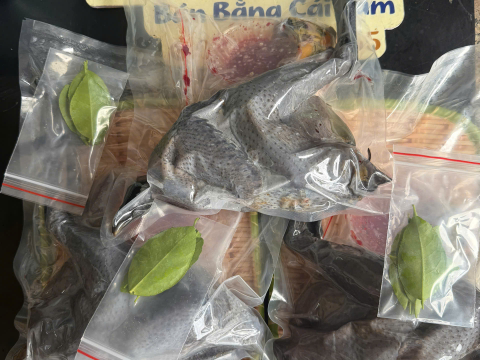 Trại gà đen Tây Bắc Sơn Vũ