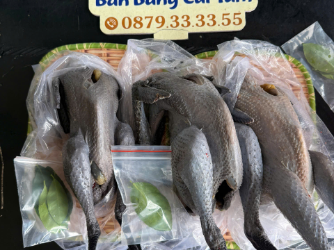 Trại gà đen Tây Bắc Sơn Vũ