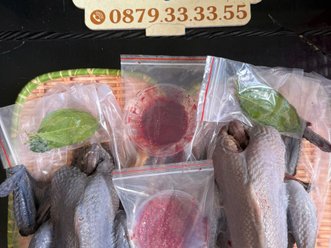 ĐƠN NGÀY 23/9