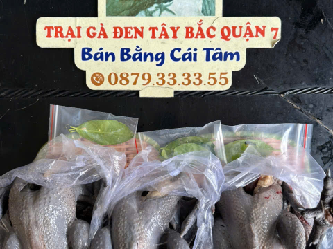 ĐƠN NGÀY 25/9