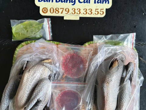 Trại gà đen Tây Bắc Sơn Vũ