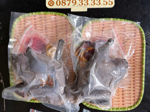 Trại gà đen Tây Bắc Sơn Vũ