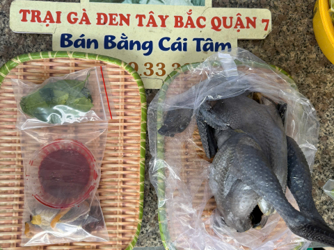 Trại gà đen Tây Bắc Sơn Vũ