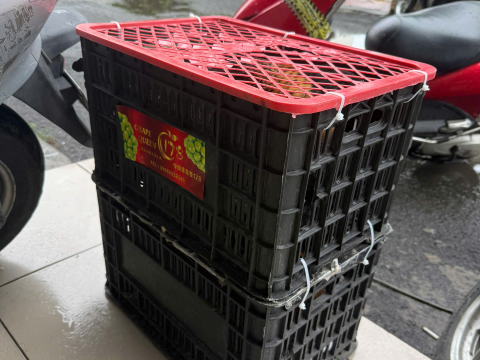 Trại gà đen Tây Bắc Sơn Vũ