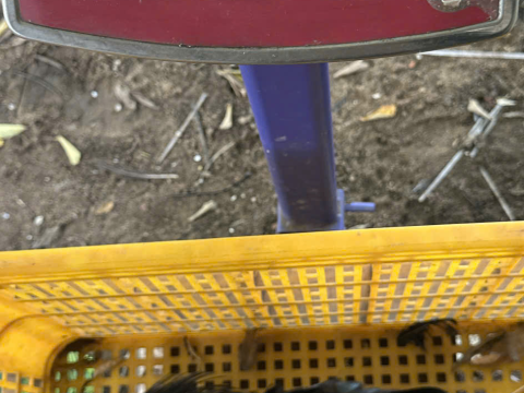 Trại gà đen Tây Bắc Sơn Vũ