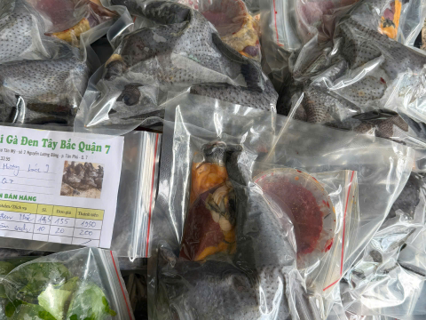 Trại gà đen Tây Bắc Sơn Vũ