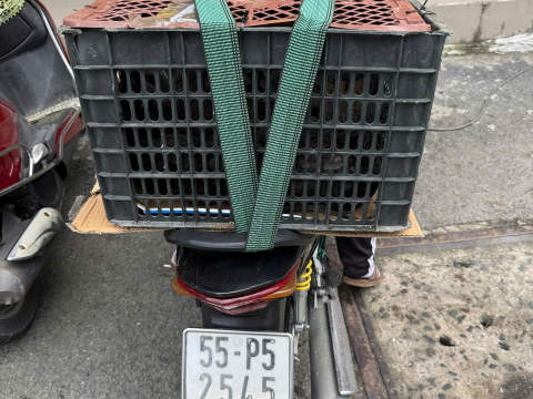 Trại gà đen Tây Bắc Sơn Vũ