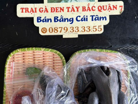 Trại gà đen Tây Bắc Sơn Vũ