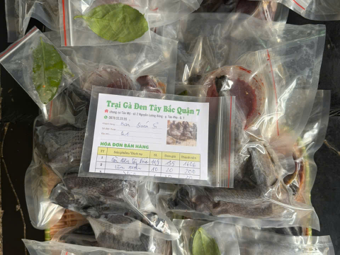 Trại gà đen Tây Bắc Sơn Vũ