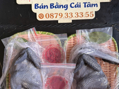Trại gà đen Tây Bắc Sơn Vũ