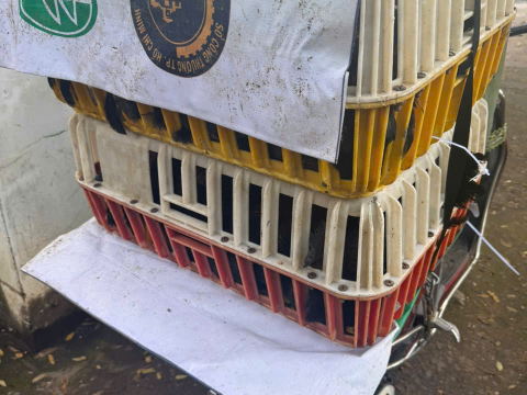 ĐƠN NGÀY 14/10 (1)