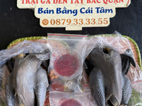 Trại gà đen Tây Bắc Sơn Vũ