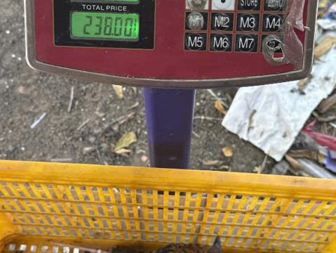 Trại gà đen Tây Bắc Sơn Vũ