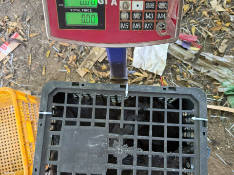 Trại gà đen Tây Bắc Sơn Vũ