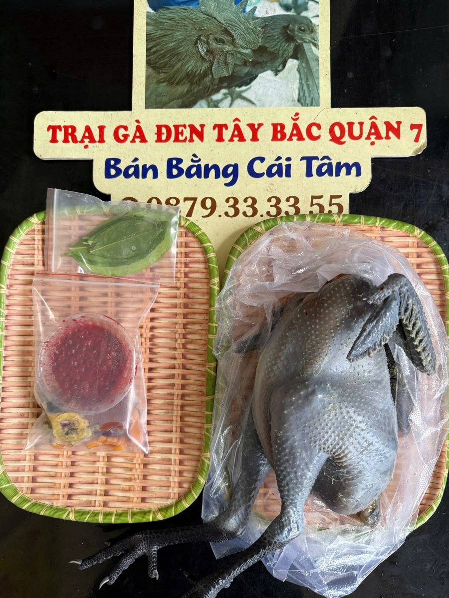 gà đen H'Mông thật và lai