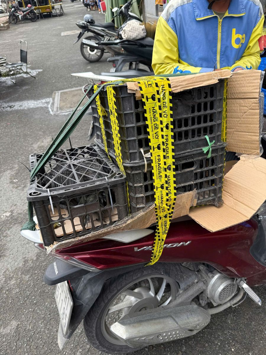 Gà đen Tây Bắc