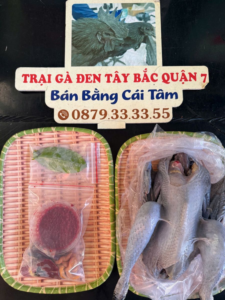 bài đánh giá về trại gà đen tây bắc quận 7 hồ chí minh