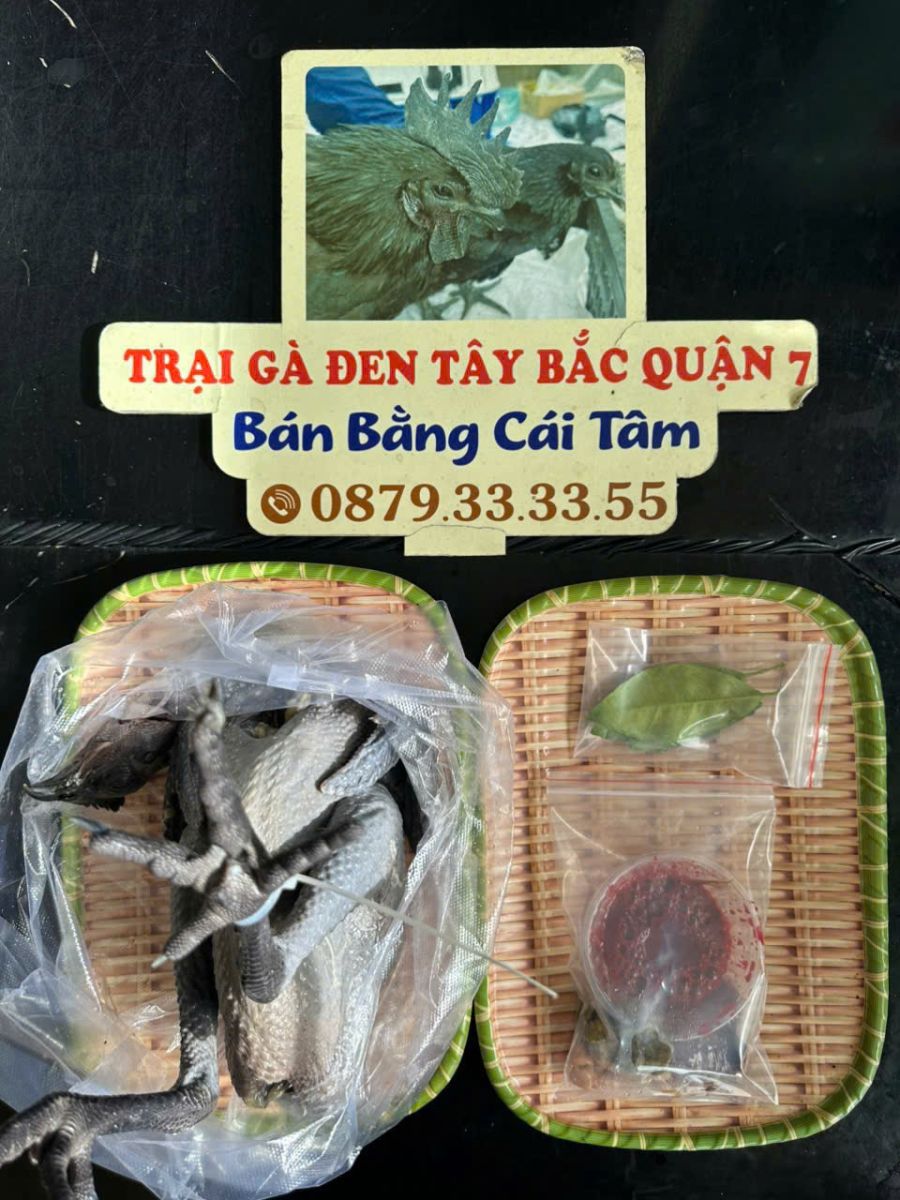 So sánh gà H'Mông và gà thường