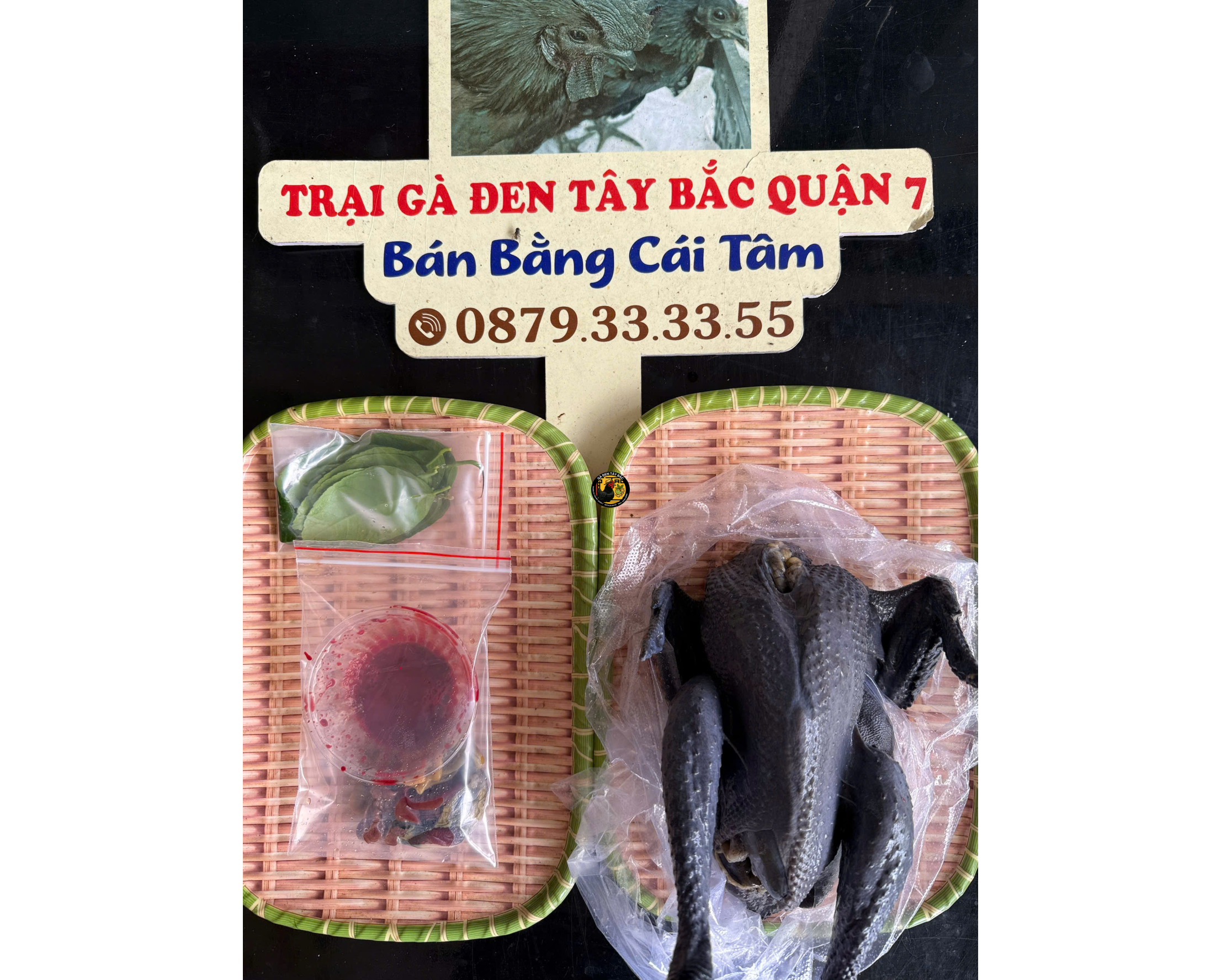 GÀ MÁI LÀM SẠCH