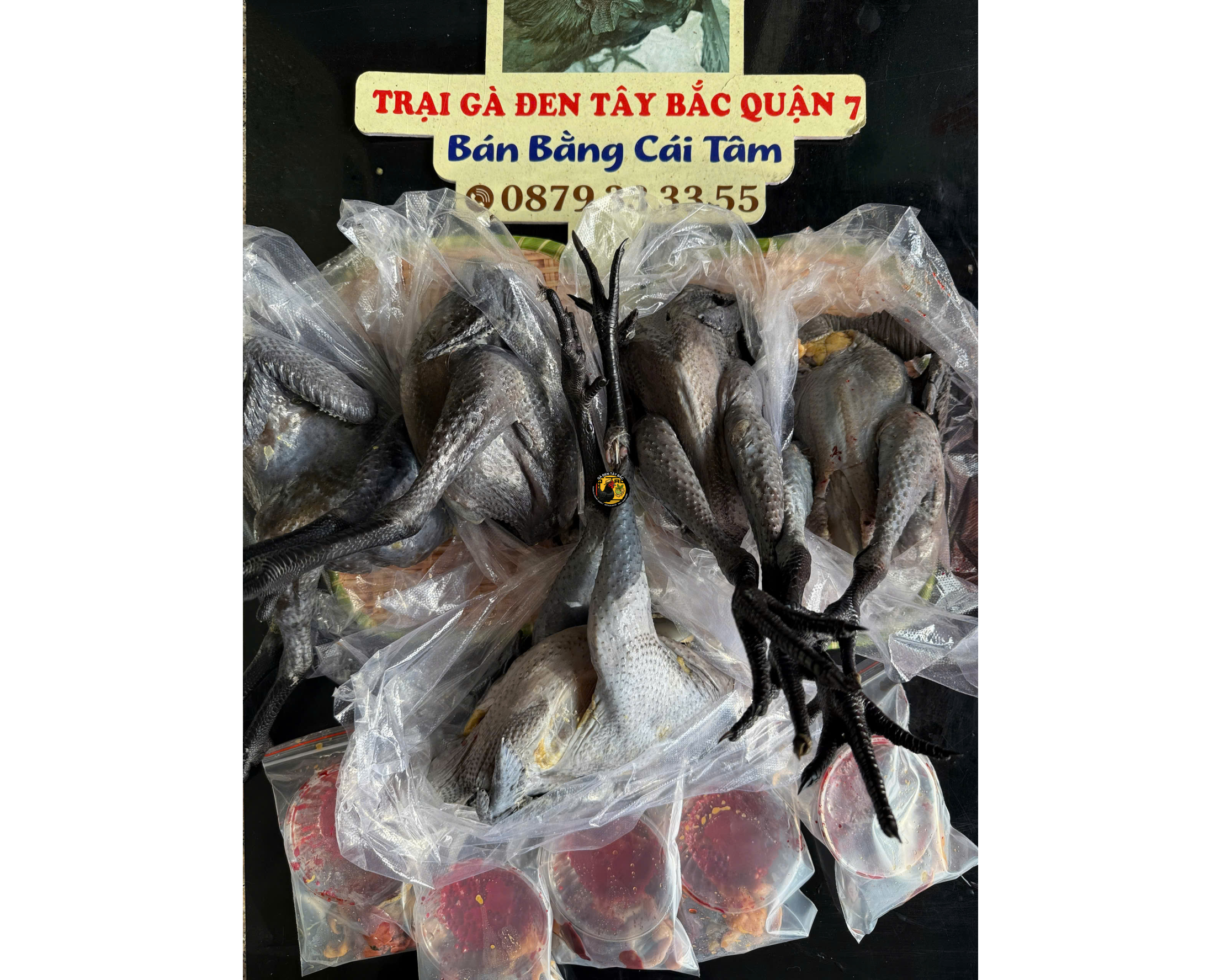 GÀ MÁI LÀM SẠCH 1