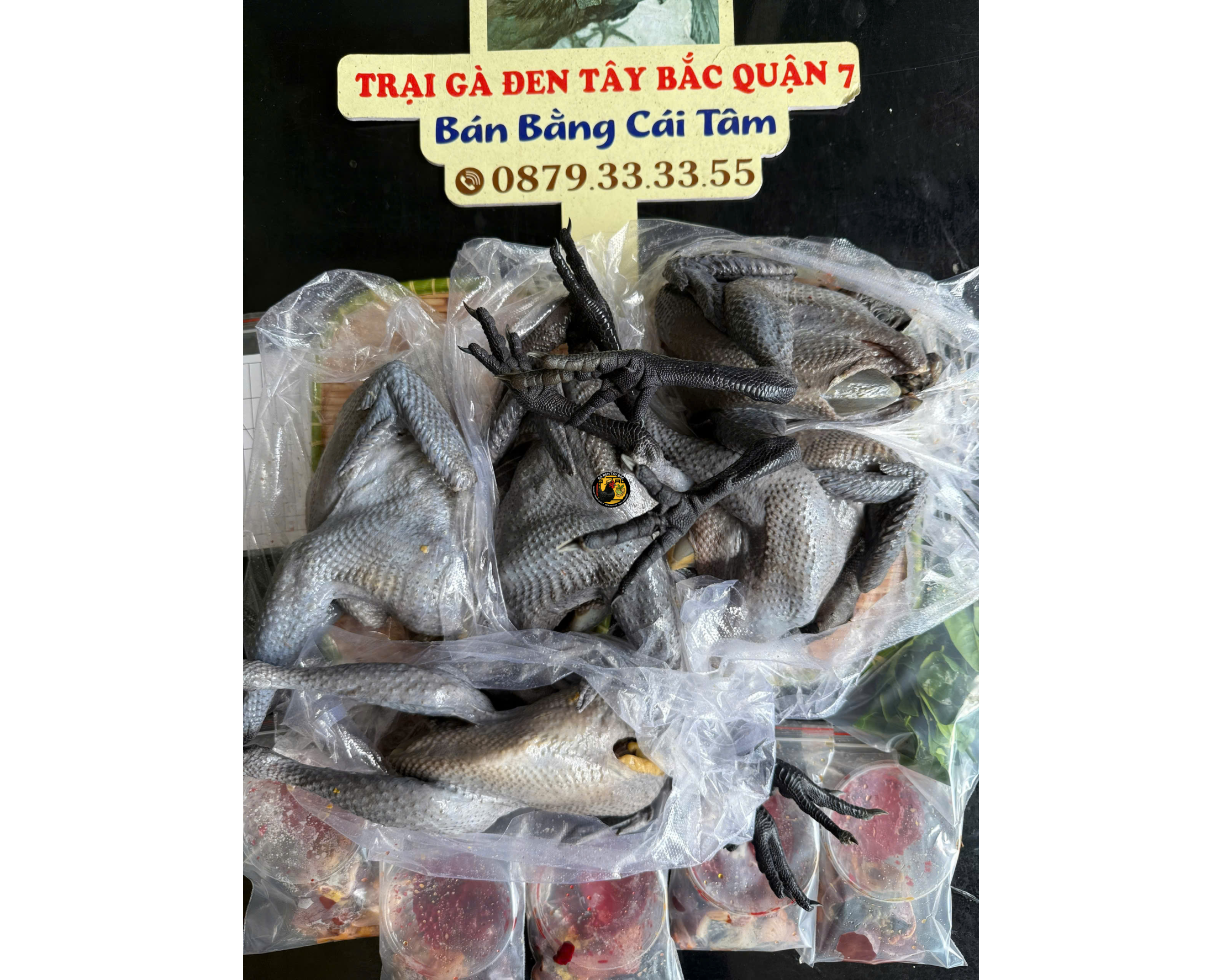 GÀ MÁI LÀM SẠCH 2