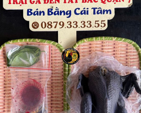 GÀ MÁI LÀM SẠCH