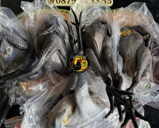 GÀ MÁI LÀM SẠCH 1