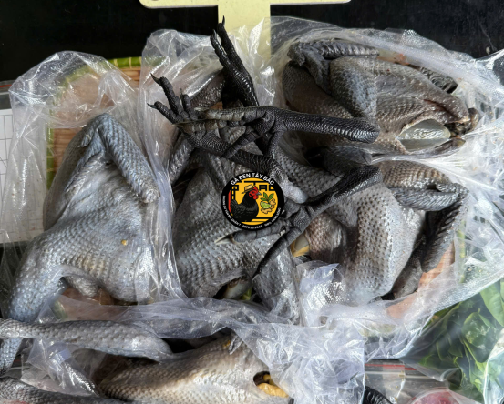 GÀ MÁI LÀM SẠCH 2